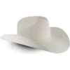 Stetson Men's 3X Wool Felt Cowboy Hat