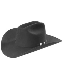 Stetson Men's Black 10X Shasta Premier Fur Felt Western Hat 